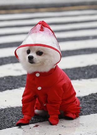 Дождевик цельный с капюшоном для собак размер xl 40*46см, красный1 фото