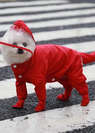 Дождевик цельный с капюшоном для собак размер м 30*38 см, красный2 фото