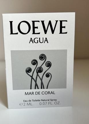 Loewe agua mar de coral пробник