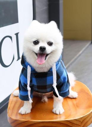 Худи для собак с карманом pet style "сосиска" черно-синяя клетка5 фото