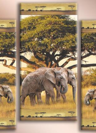 Модульная картина на холсте из 3-х частей "африканские слоны"