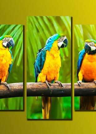 Модульна картина на полотні з 5-ти частин "папуги"1 фото