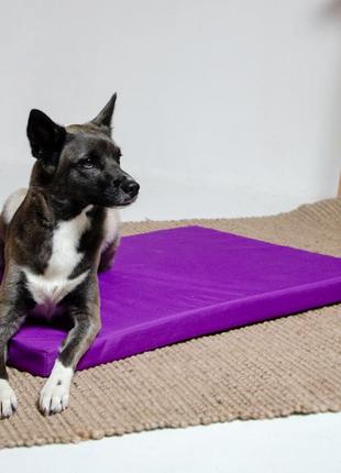 Матрац lucky pet харлей для собак №4 60 x 90 x 5 см фіолетовий (4820224213026)4 фото