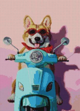 Картина алмазная мозаика римские каникулы ©lucia heffernan