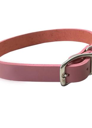 Кожаный ошейник для собак coastal circle-t fashion розовый см. 16x40 см(76484401176)