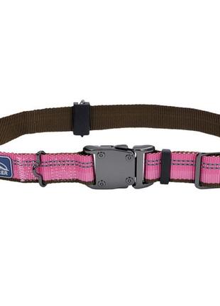 Світловідбивний нашийник для собак coastal k9 explorer collar 2.5х46-66 см рожевий (76484369414)