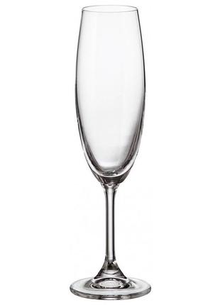 Набор бокалов bohemia sylvia (klara) для шампанского 220 мл 6 шт 4s415/220