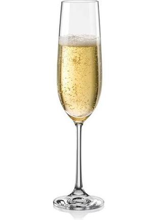 Набір келихів bohemia viola 190 мл для шампанського 6 шт 40729 190 boh