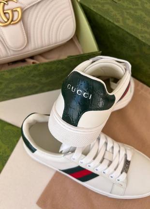 Кроссовки гуччи gucci ace2 фото