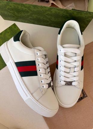 Кроссовки гуччи gucci ace3 фото