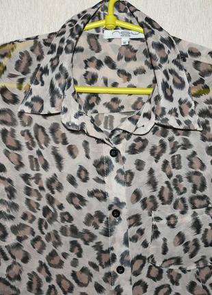 Блузка леопардова1 фото