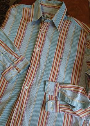 Брендова фірмова рубашка сорочка lacoste,оригінал, розмір 42(l).3 фото