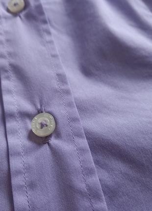 Лаконичная хлопковая рубашка eetro7 фото