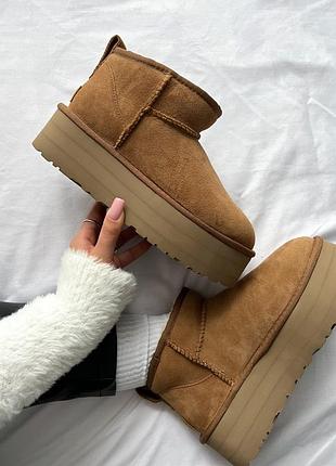 Трендові жіночі угги на високій платформі ugg wmns classic ultra mini platform bootie logo коричневі