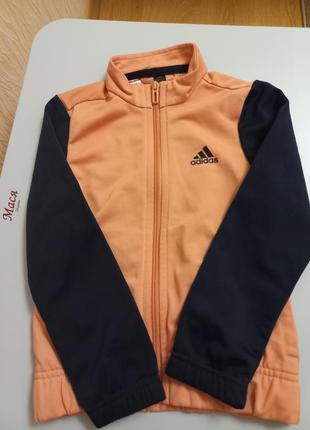 Спортивка adidas