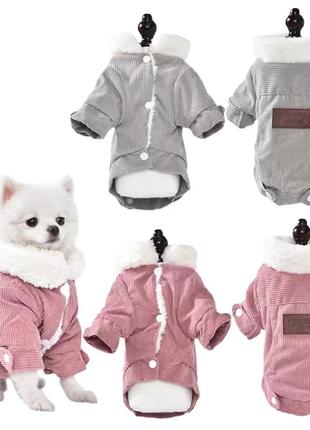 Одяг для собак, демісезонна курточка на кнопках на флісі