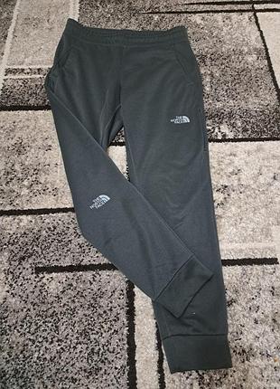 Штани  спортивні the north face