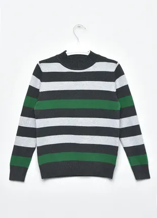 Смугастий светр / з принтом у смужку