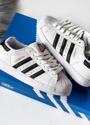 Кроссовки team adidas superstar