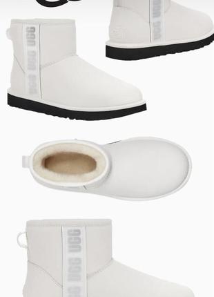 Женские зимние ugg оригинал