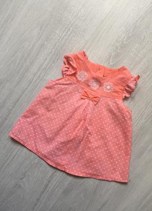 Легке плаття в горошок фірми бембі 6 м 74 р1 фото