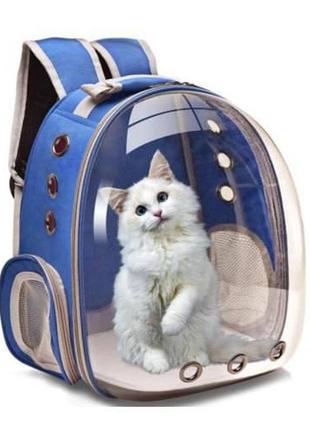 Рюкзак-переноска прозрачный водонепроницаемый для кошек и собак lk202310-4