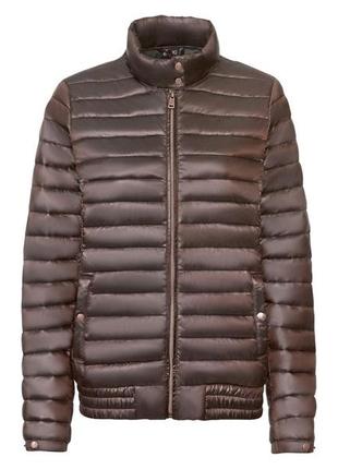 Куртка демисезонная водоотталкивающая и ветрозащитная для женщины esmara 357760 l коричневый