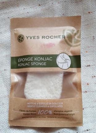 Спонж для тела  коньяку