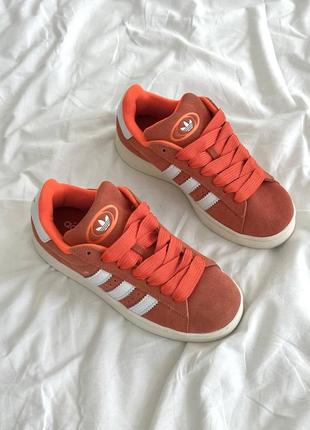 Жіночі кросівки adidas campus