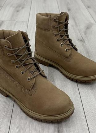 Женские ботинки timberland premium 6 inch boot (25 см)