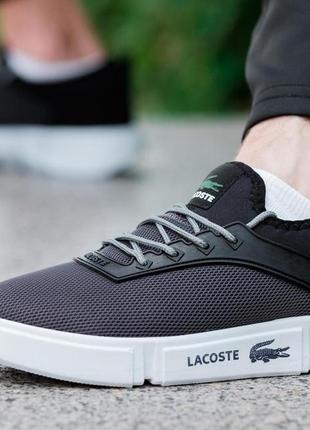 Кеды сеточка lacoste 2023 - grey5 фото