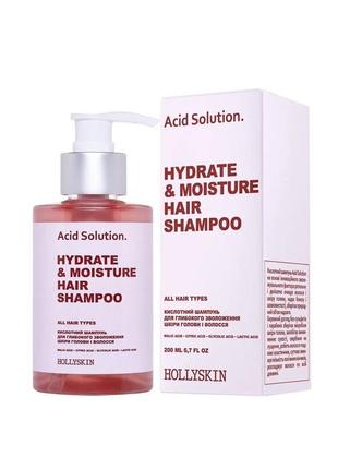 Кислотний шампунь для глибокого зволоження шкіри голови і волосся hollyskin acid solution, 200 мл1 фото