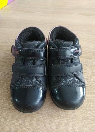 Демісезонні чоботи, черевики, ботинки geox розмір 23