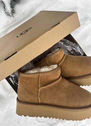 Женские сапоги ugg