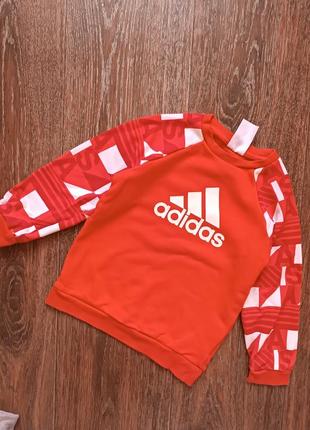 Свитшот adidas1 фото