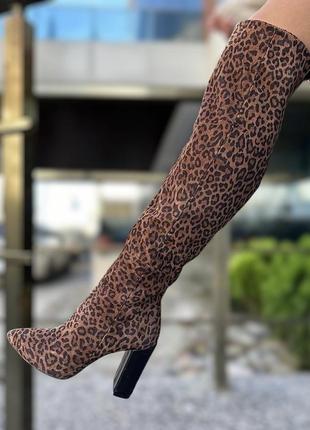 Леопардовые высокие сапоги ботфорты натуральный замш кожа 36-412 фото