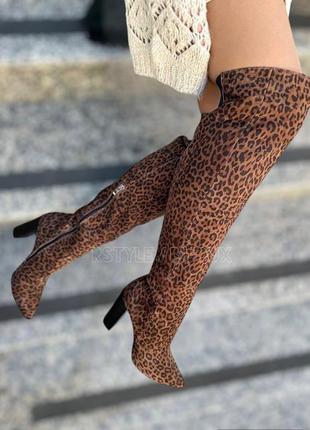 Леопардовые высокие сапоги ботфорты натуральный замш кожа 36-411 фото