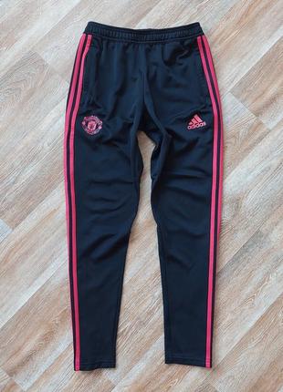 Чоловічі спортивні штани adidas manchester united training2 фото