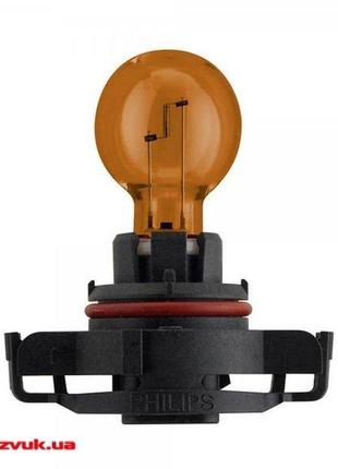 Лампа накаливания psy 24w