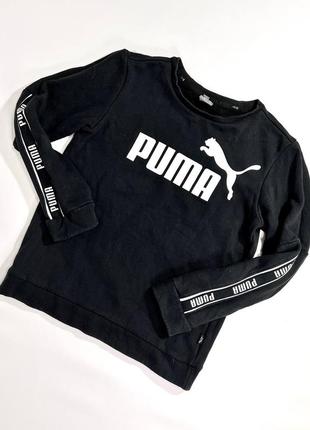 Подростковый свитшот puma / рост 145-152см / puma / свитшот пума / кофта пума / пума / худи puma /12 фото