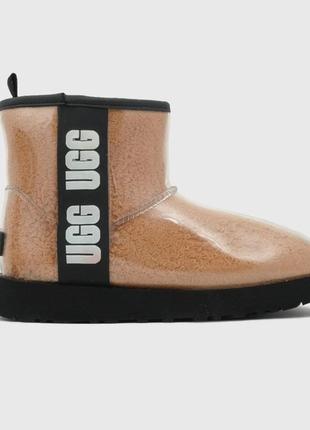 Уггі розпродаж ugg