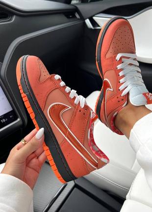 Nike sb dunk low orange lobster жіночі кросівки8 фото