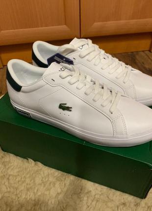 Кроссовки lacoste (мужские кожаные кеды lacoste)