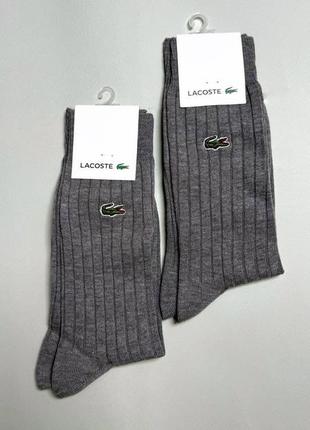 Носки lacoste