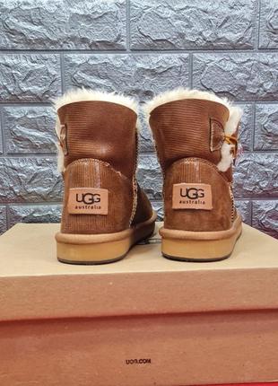 Женские сапоги ugg коричневые кожаные сапоги угги3 фото