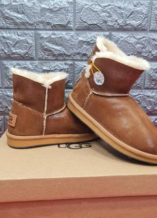 Женские сапоги ugg коричневые кожаные сапоги угги1 фото