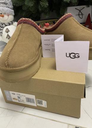 Ugg tazz угги уггі6 фото