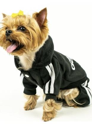 Спортивний костюм комбінезон для собак adidog, новий, s-м1 фото