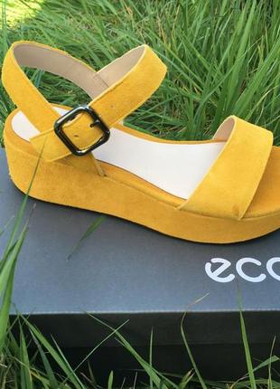 Женские  босоножки   ecco plateau sandal  209013 053661 фото