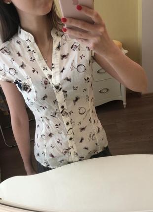 Рубашка/блуза1 фото